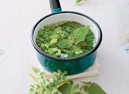the ultimate detox a nettles broth recettes de cuisine recette ortie aliments bons pour la sante