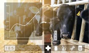 Although this business comes with it's own fair share of challenges. Gea Partner In Uk Dairy Farming Research Center