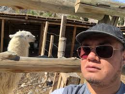 Dino Reyes (@dinoreye)