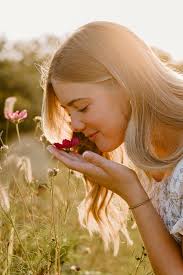 Wildflower fields in Lexington parks?