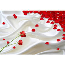 Koleksi gambar bunga mawar merah wallpaper setangkai ros merah terbaru download gambar bunga mawar cantik gratis gambar setangkai bunga free download untuk desktop android ios blackberry dan windows phones. Wallpaper Kelopak Mawar Romantis Wallpaper Bunga Mawar Indah Bunga Mawar Merah Bunga Buy Mawar Wallpaper Wallpaper Mawar Bunga Merah Bunga Mawar Yang Indah Wallpaper Product On Alibaba Com