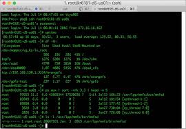 Image result for Computers Software Operating Systems Microkernel MorphOS