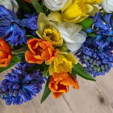 › bulk wholesale fresh flower distributors. The Spring Collection Flower Box Wholesale Flowers Direct Uk