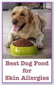 Best Dry Dog Food For Dogs With Skin Allergies Uk Best Dog Foods For Allergies November 2018 Canidae Grain Dog Food Recipes Best Dry Dog Food Best Dog Food