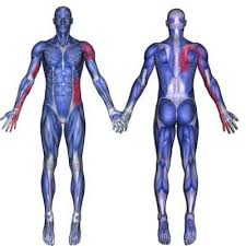 Pin On Health