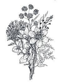 Pin By Tina Apostolou On Tattoos Flower Drawing Flower Sketches Wildflower Drawing