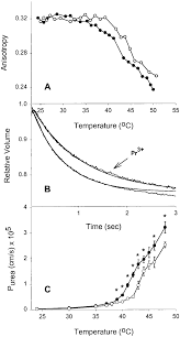 Since the descending loop is always pushing out water, the vasa. Effect Of Rigidifying A Single Leaflet On Urea Permeability A Effect Download Scientific Diagram