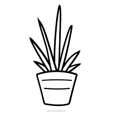 Potted plants coloring sheet for adults and kids / succulent coloring page / digital download coloring / instant download coloring page. Plant Coloring Page Ultra Coloring Pages