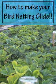 Bird netting seemed a surer solution. A Garden Hack How To Make Your Bird Netting Glide Our Stoney Acres