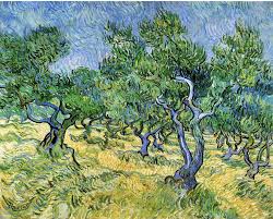Olive Grove Vincent Van Gogh 1889 Place Of Creation Saint Remy Provence France Gt Van Gogh Art Vincent Van Gogh Art Van Gogh Paintings