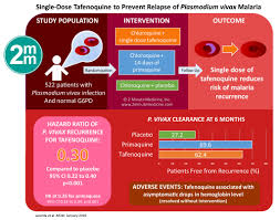 Of the many species of anopheline mosquito capable of becoming infected. Visualabstract Single Dose Tafenoquine To Prevent Relapse Of Plasmodium Vivax Malaria 2 Minute Medicine