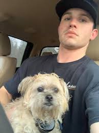 Doggy walking along Longway, outside Orchard