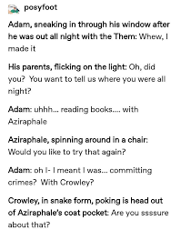 Bird Hitting Window Omen And I Oop Good Omens Book Funny Memes Fandoms