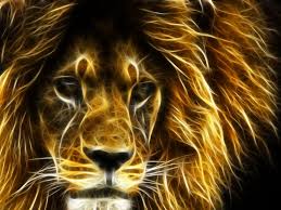 Pin By Aiden Hammerthall On Fractal Animals Lion Hd Wallpaper Animal Wallpaper Animal Posters