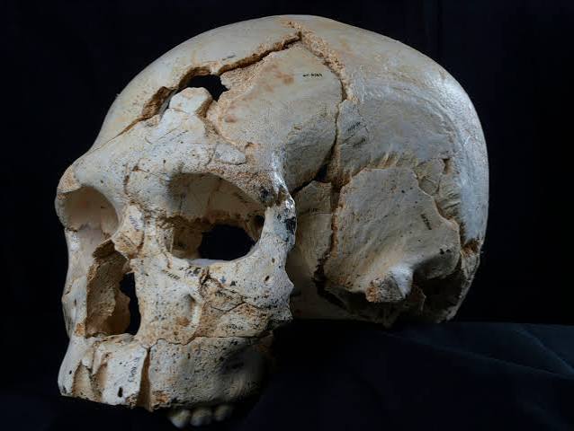 World's Oldest Murder Mystery Was 430,000 Years in the Making | National  Geographic