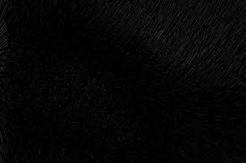 This is a set of different graphics editors that will allow you to edit your photographs in a variety of ways. Pitch Black Wallpapers Top Free Pitch Black Backgrounds Wallpaperaccess