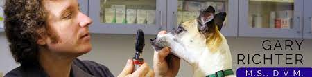 Holistic veterinary care is comprised of a team of doctors and staff whose primary objective is to provide the best alternative holistic care available for pets. Gary Richter Ms Dvm Cva Cvc Owner Medical Director Holistic Veterinary Care Linkedin