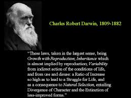 Quotes About Charles Darwin Evolution Quotesgram