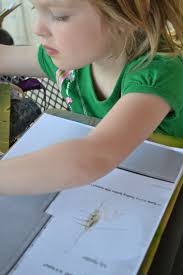 A Nature Walk with Aunt Bessie