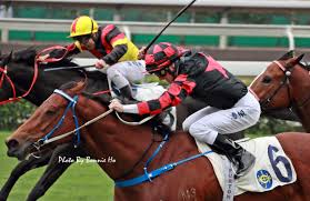 The site owner hides the web page description. Bonnie Ho On Twitter Dancing Fighter Which Is Owned By The Star Singer Aaron Kwok Strike It S First Win With Zac Purton Today é¦™æ¸¯è³½é¦¬ Hkracing ç«¶é¦¬ èˆžå£«ç²¾ç¥ž Dancingfighter èˆžå°çŽ‹è€…