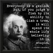 Albert Einstein Genius Quote Posters Veruca Salt Allposters Com Einstein Quotes Funny Inspirational Quotes Wise Quotes