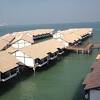 Amy d' homestay ocean view resort. 1