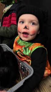 Happy Halloween at Streamvale Farm with Little Pumpkin and Guinea Pigs