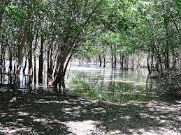 Clear Creek Natural Heritage Center - All You SHOULD Know Before Going 2026  (with Reviews)