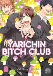Yarichin hanime
