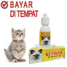 Maksudnya adalah vitamin ini salah satu vitamin terbaik untuk kucing. Obat Bulu Rontok Kucing Vitammin Penumbuh Bulu Kucing Ketwol Drop Lazada Indonesia