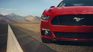 4k Ford Mustang 3840x2160 Mustang Shelbi Mustang Ford Gt