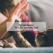 Maybe you would like to learn more about one of these? Pet Loss Quotes For A Pet Sympathy Card Simple Sympathy