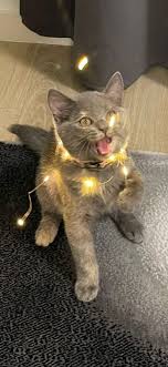 maya poprotskaya · 1.4M threads