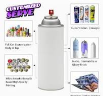 Customized Empty Cmyk Printing Tinplate Aerosol Spray Can for Air Freshener  65X100