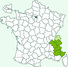 Image result for Syngrapha hochenwarthi