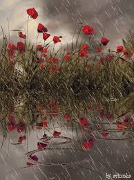16 most beautiful blooming flowers animated gifs. Beautiful Flowers Animated Gif Epic Download Hd Wallpapers