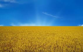 Jun 22, 2021 · за підсумками обговорення на закритому засіданні профільний комітет визнав, що український парламентар не порушував правил, коли вирішив розгорнути у залі засідань прапор україни. Sogodni Den Derzhavnogo Prapora Ukrayini Istoriya Svyata Ta Cikavi Fakti Visokij Zamok
