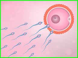 Pin On الحمل و الولادة