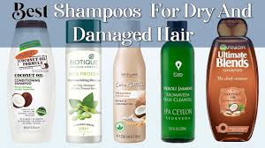 The 12 best shampoos for making your color last longer. 12 Best Shampoos For Dry And Damaged Hair In Sri Lanka With Price 2021 For Frizzy Hair Glamler Youtube