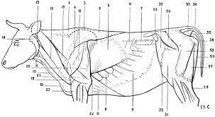 「http://cleptestreview.com/node/ ransom」的圖片搜尋結果