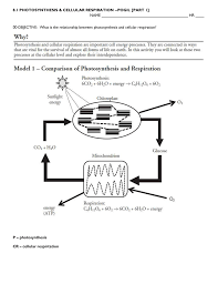 Cellular respiration begins in the cytoplasm of cells. 8 1 Photosynthesis Cellular Respiration