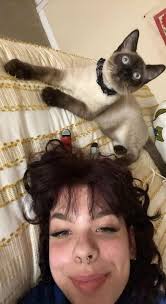 What causes a dog's fur to darken over time?