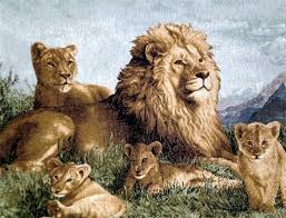 Animals wolf tapestry lion wall hanging tiger cloth yoga blanket home dorm decor. Wall Hanging Tapestry Pride Of Lions Lion King Out Of Africa Backed Ebay