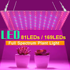 Check spelling or type a new query. Buy 81 169 Leds 2000w 3000w Led Full Spectrum Plant Grow Light Veg Lamp For Indoor Hydroponic Plant Greenhouse Garden Hydroponic At Affordable Prices Free Shipping Real Reviews With Photos Joom
