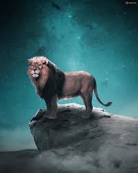 You Have Created A Masterpiece Keep Inspiring Us With Your Stunning Content Subscribe To Our Background Images For Editing Background Images Hd Tiger Pictures
