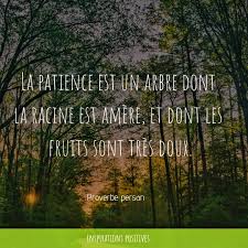 La Patience Est Un Arbre Dont La Racine Est Amere Et Dont Les Fruits Sont Tres Doux Proverbe Persan J Patience Citation Sagesse Pensees Positives