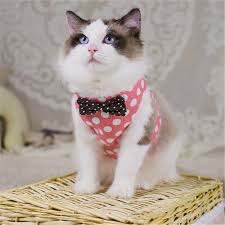 Tavsiye S M L Cesit Sekilli Cat Ve Kopek Yelek Kosum Kopek Hayvanlar Set Hayvan Cekme Halati 1 Pcs Nakliye Teslimat Kedi Yaka Ve Tasmalari Electricsmy Co