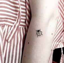 Tetování na kůži s obrázky legračních zvířátek. 900 Tattoos Piercings Tunnel Ideas In 2021 Tetovani Napady Na Tetovani Navrhy Tetovani