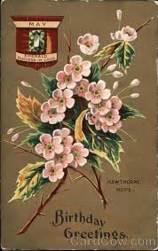 May Birthday Emerald And Hawthorne Birth Flower Tattoos Birth Flowers May Birth Flowers