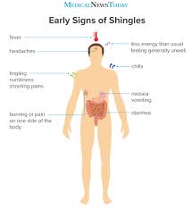 This article contains a list of organs of the human body. The Early Stages Of Shingles Signs And Symptoms